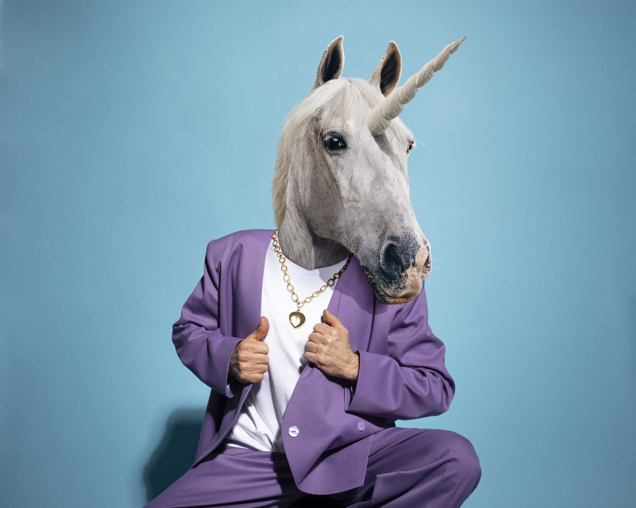 <strong>Startups, Would You Rather Be Unicorns Or Camels?</strong>